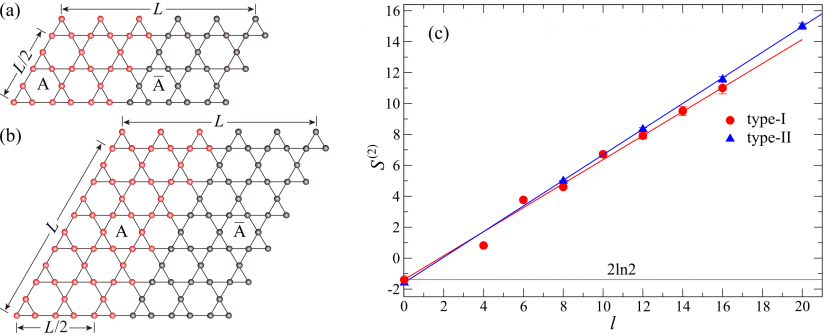 圖三：籠目量子自旋模型的兩種不同格點，以及相應的糾纏熵(S)和糾纏邊界(l)長度的結果。